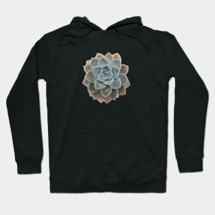 Low Poly Teal Succulent Hoodie